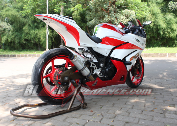 Elegant Sporty Ninja 250R